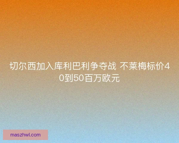 切尔西加入库利巴利争夺战 不莱梅标价40到50百万欧元 切尔西加入库利巴利争夺战 不莱梅标价40到50百万欧元