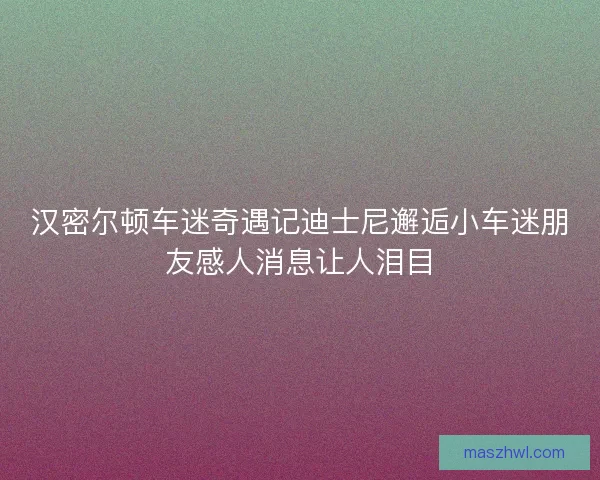 汉密尔顿车迷奇遇记迪士尼邂逅小车迷朋友感人消息让人泪目 汉密尔顿车迷奇遇记迪士尼邂逅小车迷朋友感人消息让人泪目