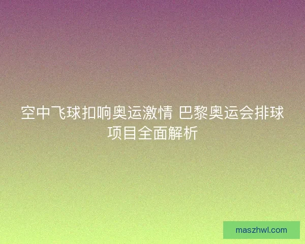 空中飞球扣响奥运激情 巴黎奥运会排球项目全面解析